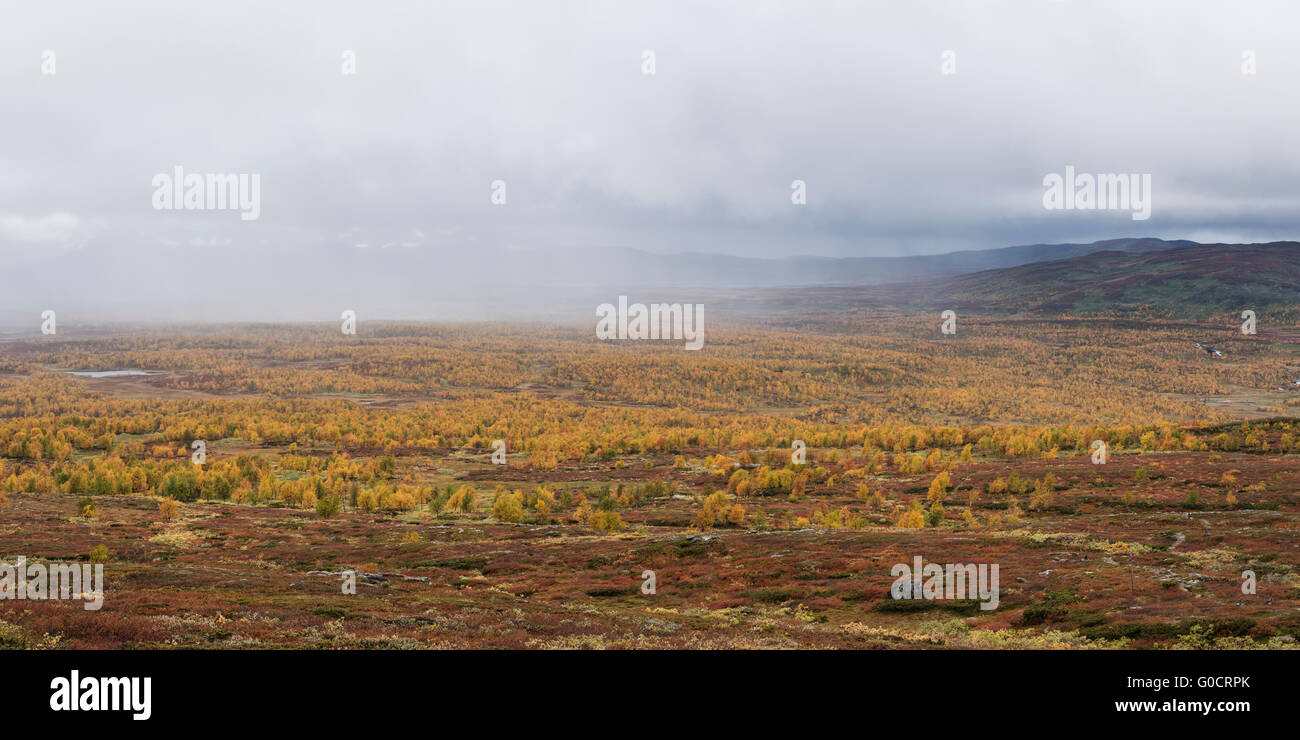 Avvicinando la pioggia su autunno paesaggio di montagna vicino a servire capanna, Kungsleden trail, Lapponia, Svezia Foto Stock