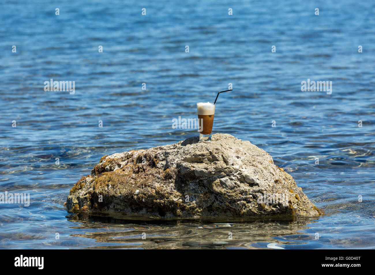 Bere sorge su una roccia nel mare blu Foto Stock