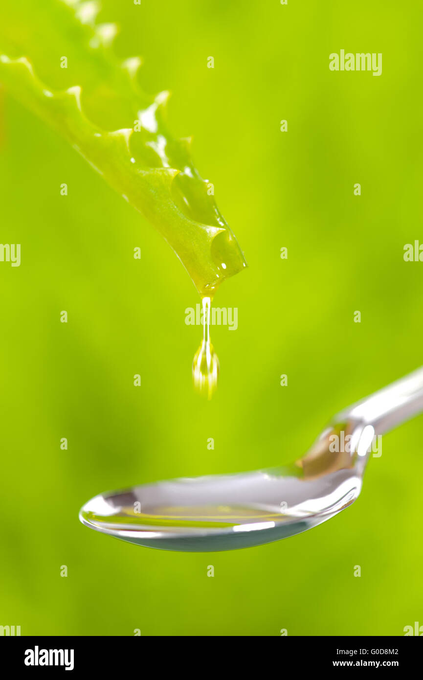 Goccia di olio di aloe vera cade nel cucchiaio Foto Stock