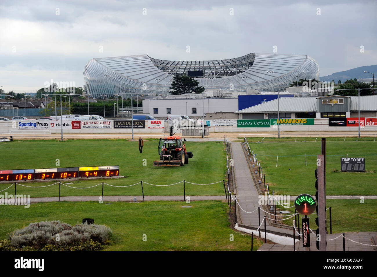 Il Greyhound Racing, Shelbourne Park Greyhound Stadium, in fondo Aviva stadium, Dublino, Irlanda Foto Stock