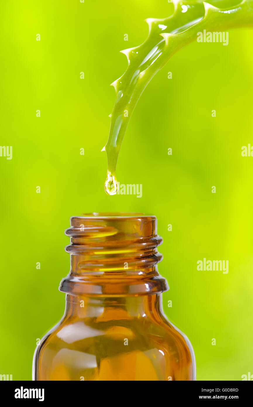 Olio di aloe vera scende in bottiglia Foto Stock
