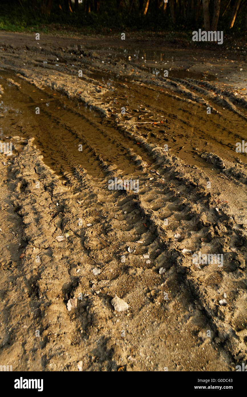 Sporco rotto strada rurale con profonde tracce di pneumatici Foto Stock