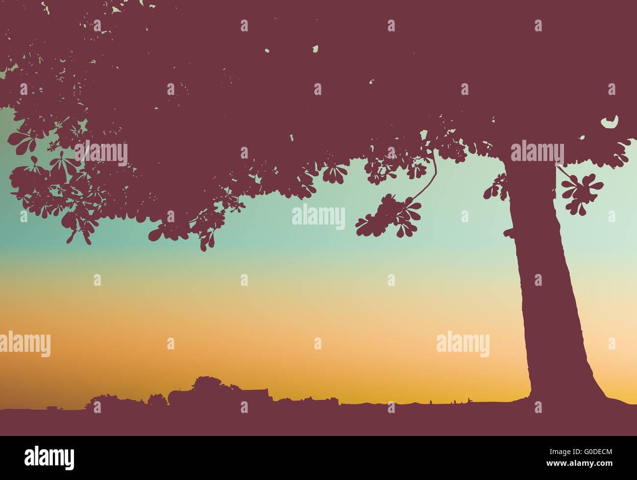 Albero al tramonto Foto Stock