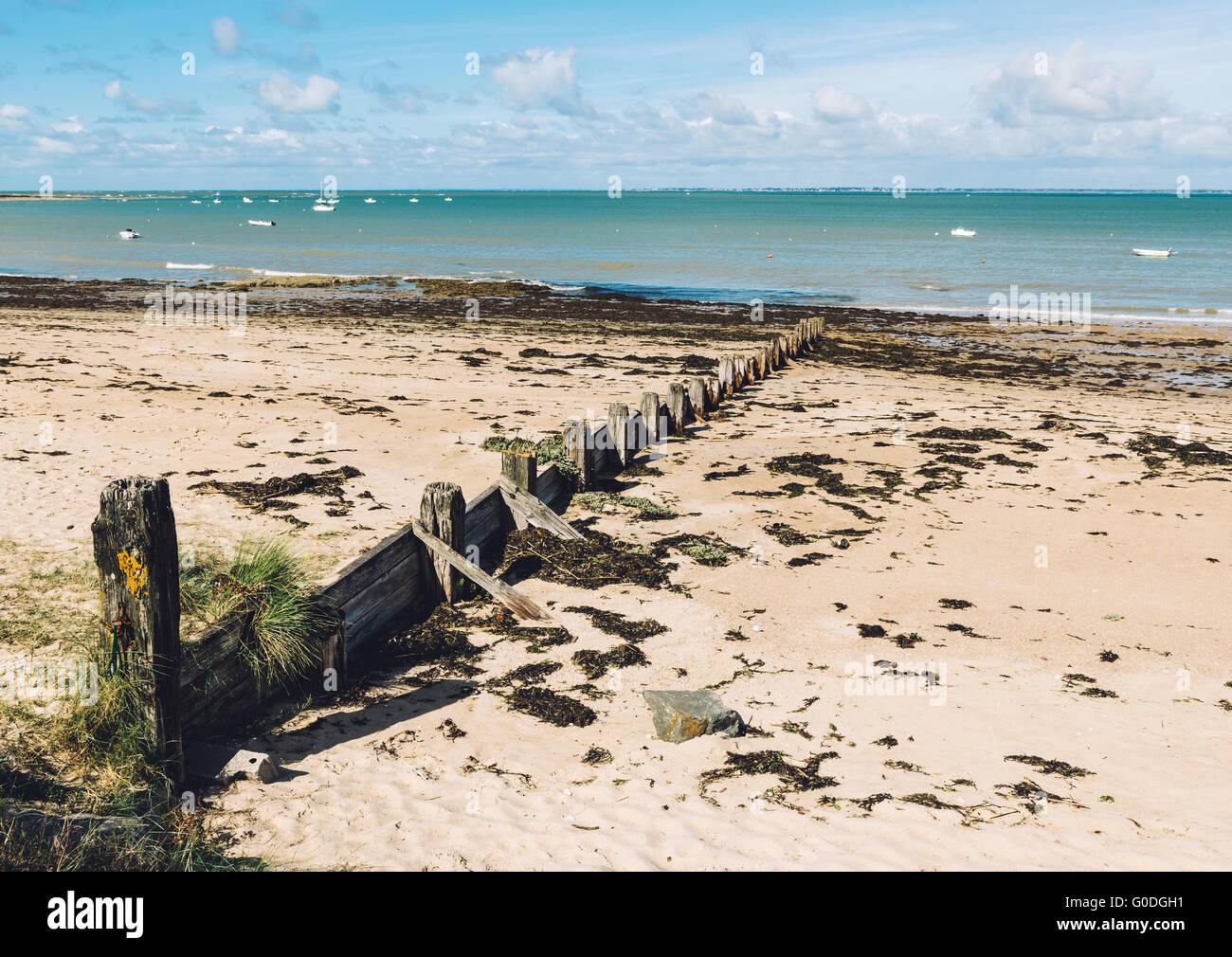 Isola di Noirmoutier paesaggio in Vandea Francia Foto Stock