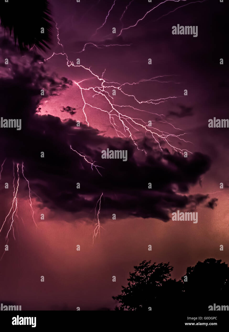 Lightning Over Florida, Stati Uniti d'America Foto Stock