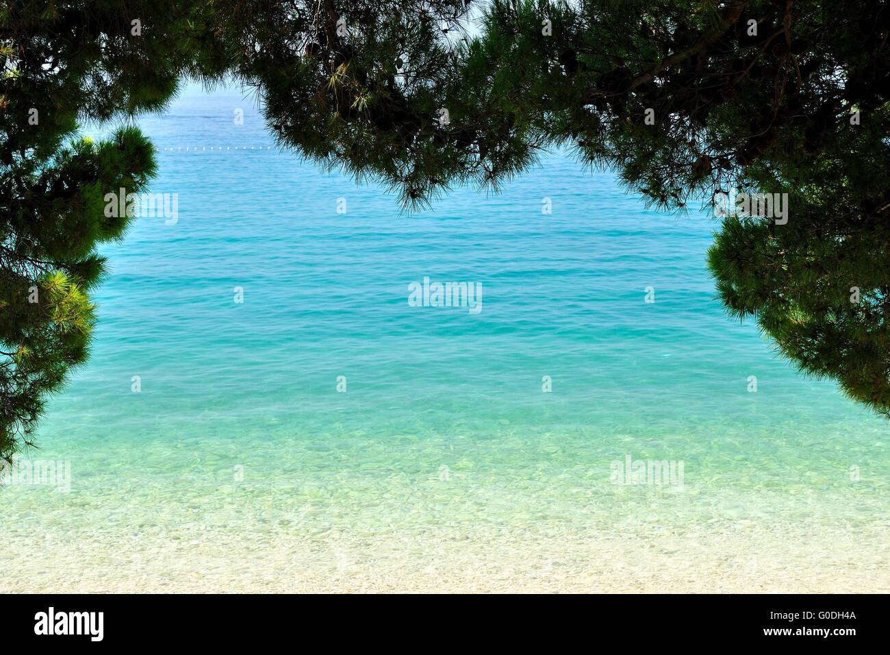 Incredibile spiaggia tropicale con acque turchesi e incorniciata da albero. sfondo naturale Foto Stock