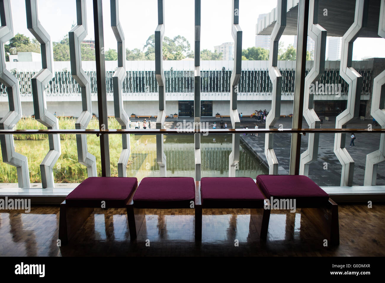 Museo nazionale di antropologia finestre geometriche città del Messico // CITTÀ DEL MESSICO, Messico - le caratteristiche finestre da pavimento a soffitto con barre geometriche del Museo nazionale di antropologia (Museo Nacional de Antropología) incorniciano la vista del cortile centrale. Progettato dall'architetto Pedro Ramírez Vázquez e completato nel 1964, il museo è ampiamente considerato una delle più importanti istituzioni culturali del Messico. Questi elementi architettonici combinano l'estetica modernista con i tradizionali motivi del design messicano, dimostrando l'approccio innovativo dell'edificio all'integrazione di interni ed esterni Foto Stock