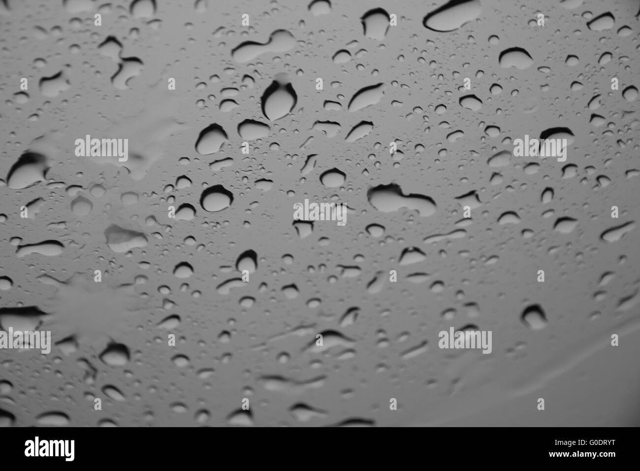 Gocce d'acqua o gocce di pioggia su una superficie di vetro (messa a fuoco selettiva) Foto Stock