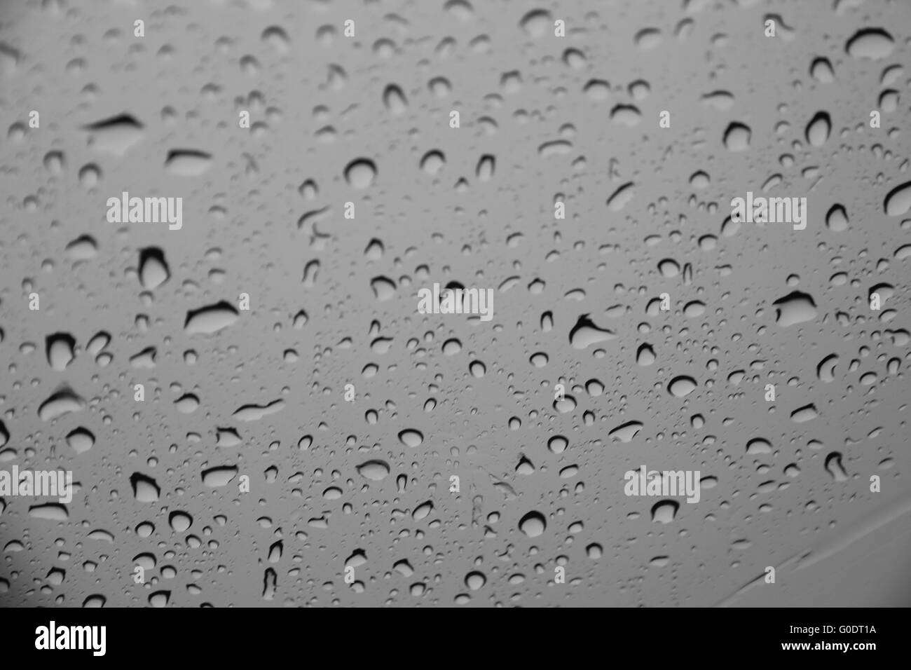 Gocce d'acqua o gocce di pioggia su una superficie di vetro (messa a fuoco selettiva) Foto Stock