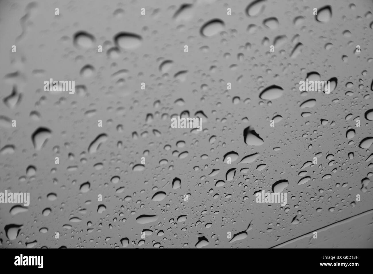 Gocce d'acqua o gocce di pioggia su una superficie di vetro (messa a fuoco selettiva) Foto Stock