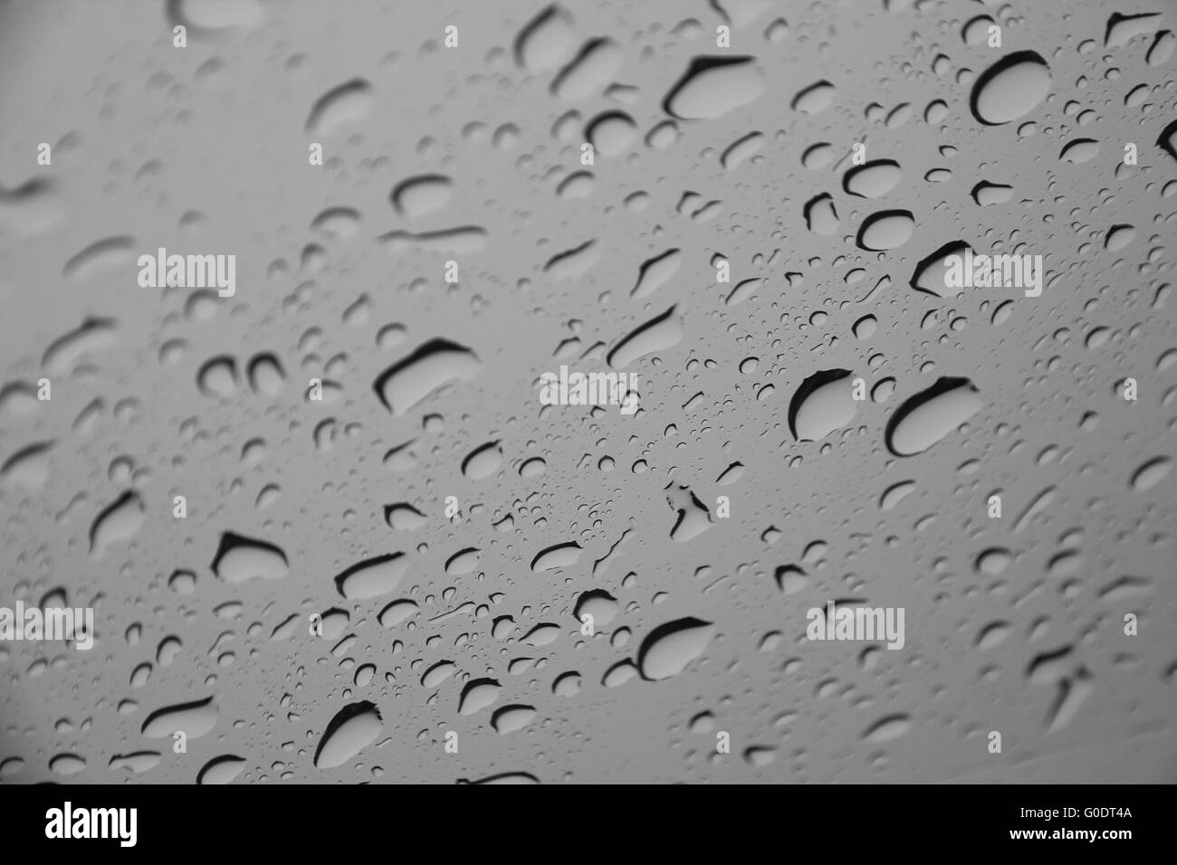 Gocce d'acqua o gocce di pioggia su una superficie di vetro (messa a fuoco selettiva) Foto Stock