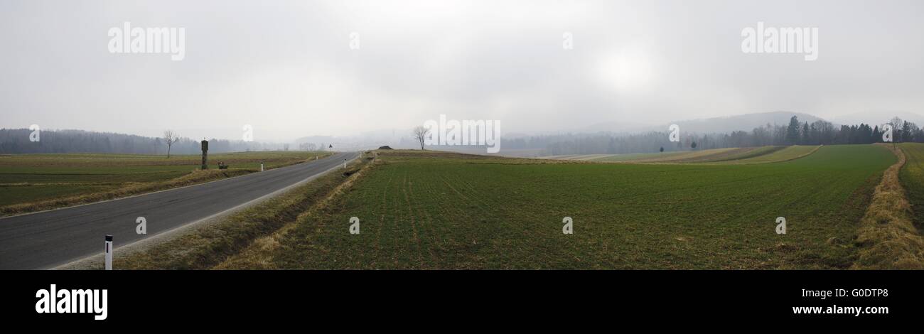 Strada che conduce all'orizzonte in un paesaggio di nebbia Foto Stock