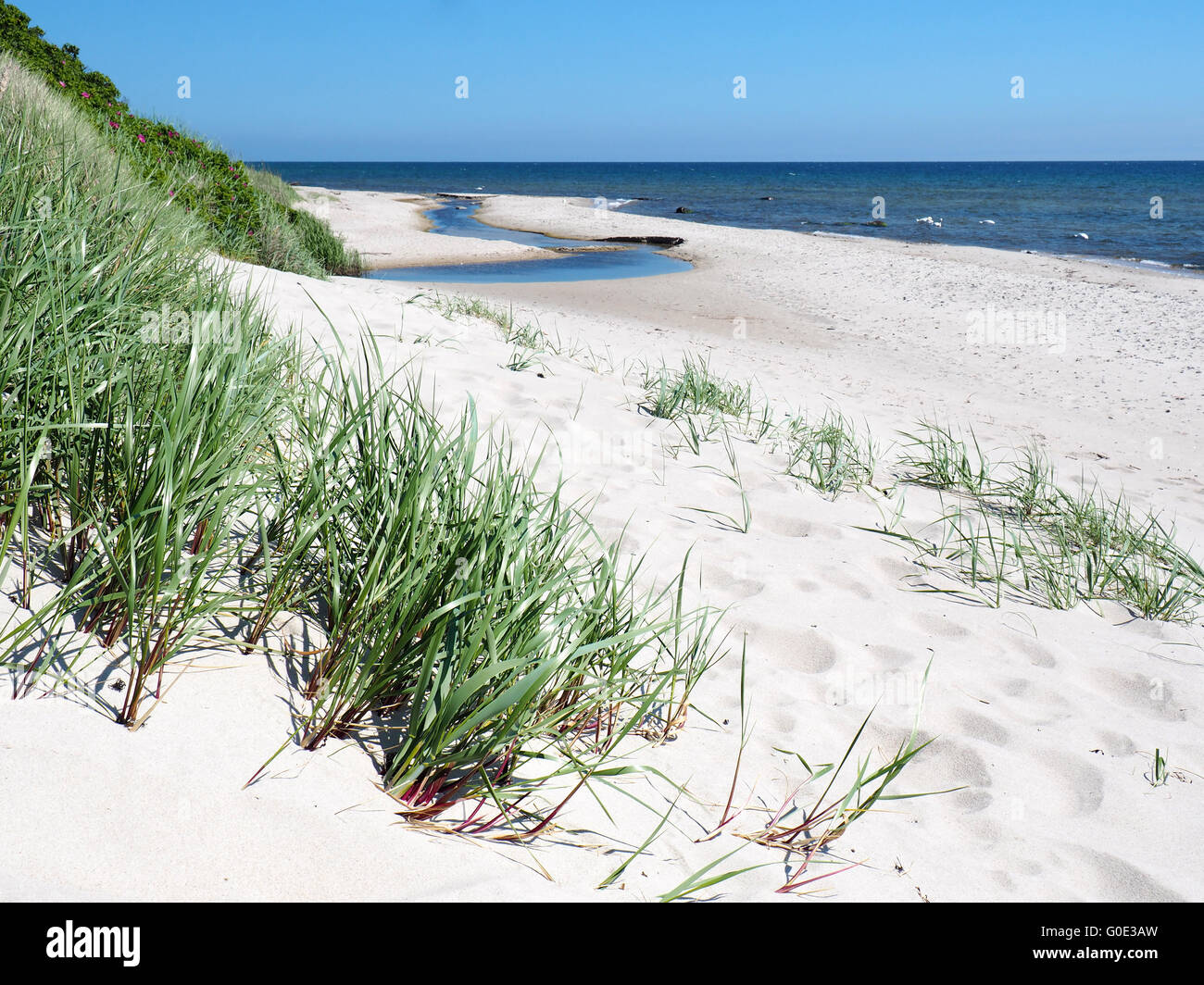 Bornholm Vista spiaggia Foto Stock