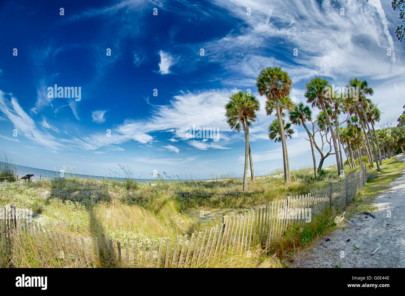 Spiaggia scene di caccia island Carolina del Sud Foto Stock