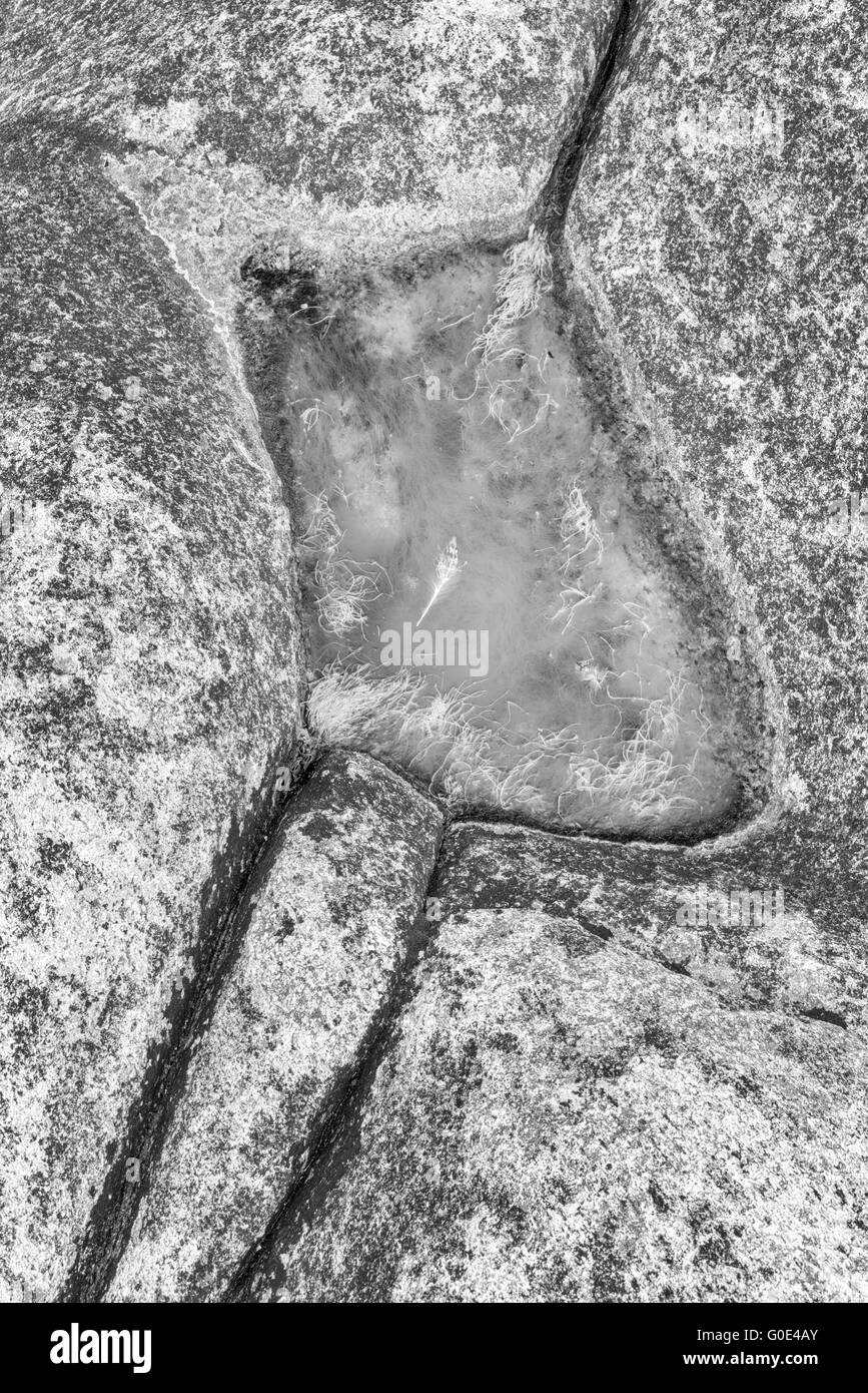 Pool di marea, Senja, Norvegia Foto Stock