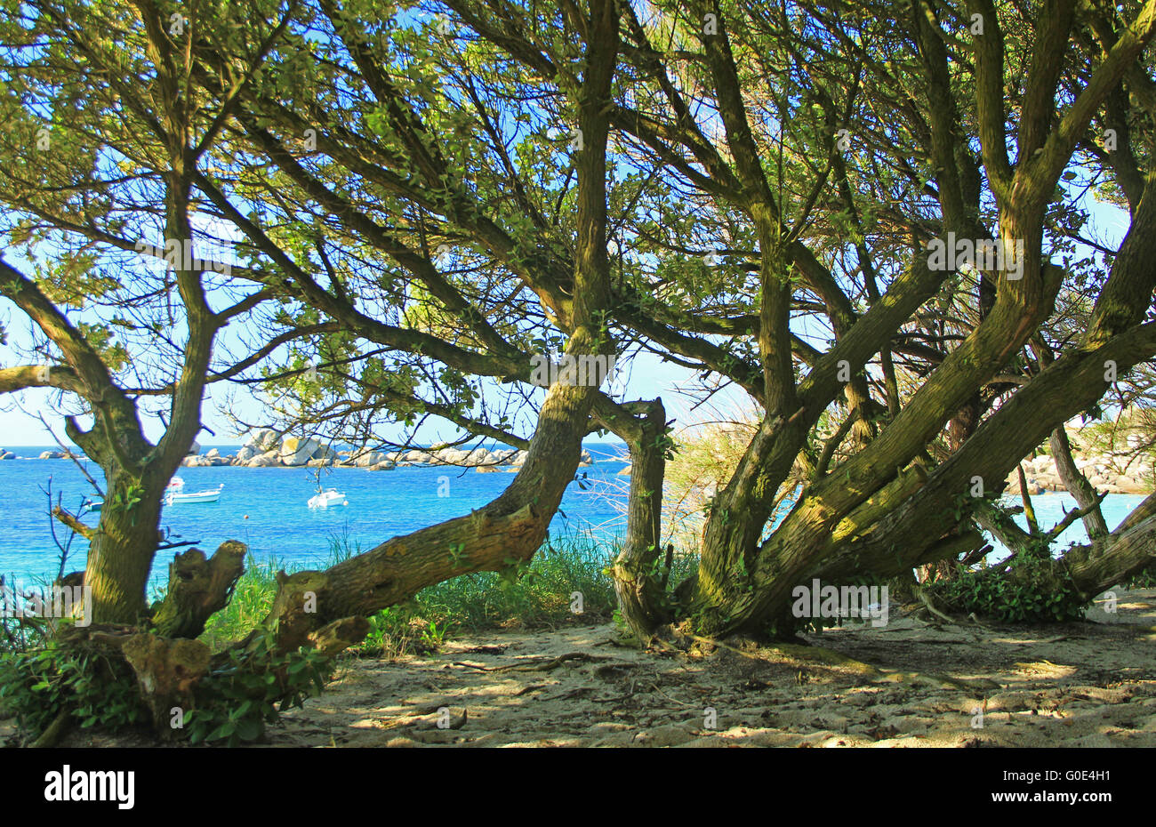 Spiaggia in Bretagna a Pontusval, Francia Foto Stock