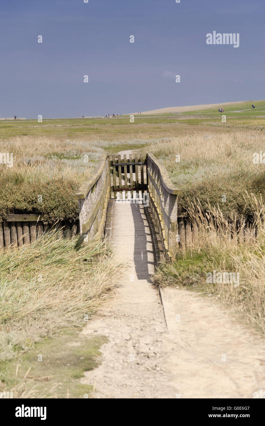 Estuario di Westerhever in Germania Foto Stock