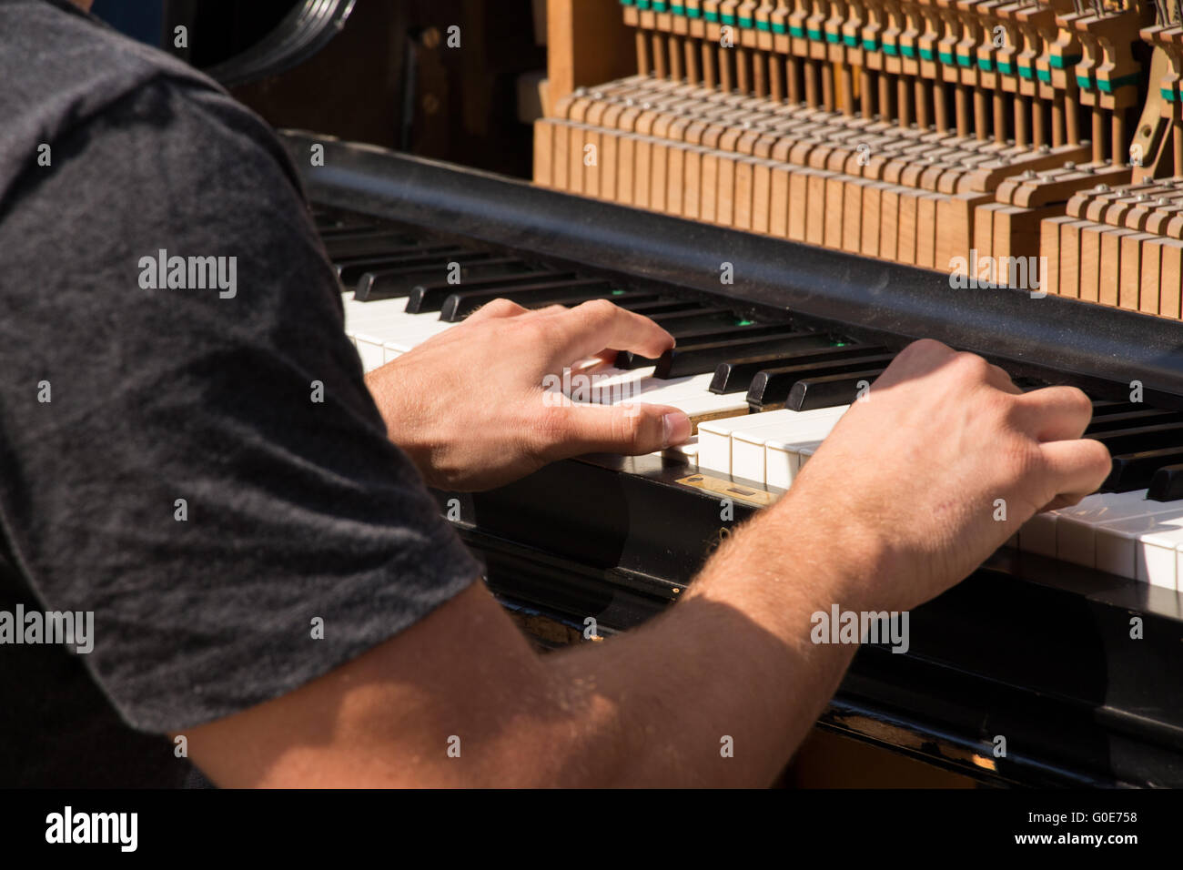 Giocatore pianoforte Foto Stock