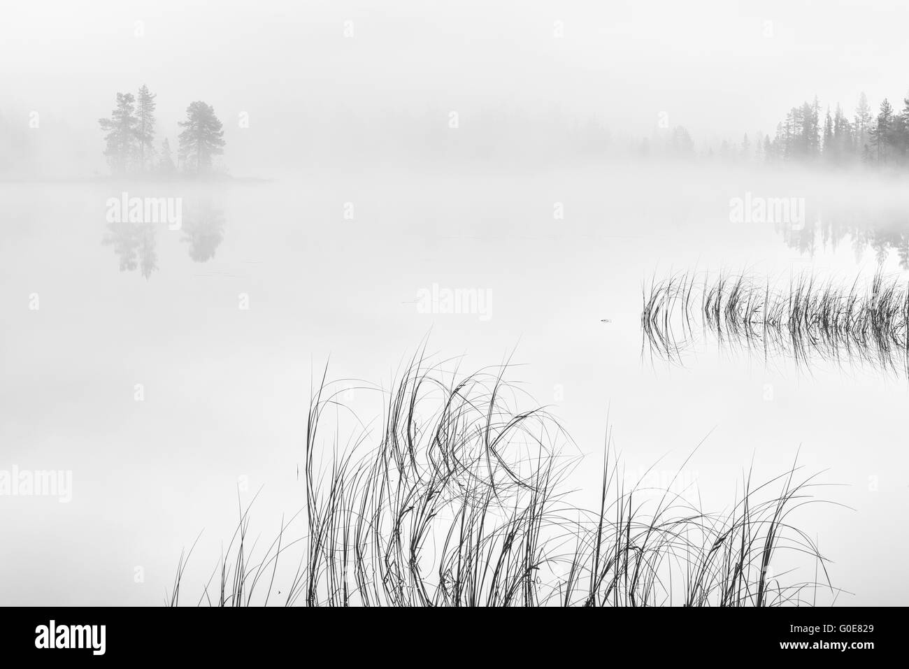 Nebbia di mattina su un lago, Lapponia, Svezia Foto Stock