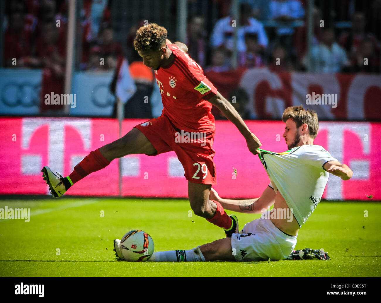 Monaco di Baviera, Germania. 30 apr, 2016. Il Bayern Monaco di Baviera Kingsley Coman (L) compete durante il tedesco della prima divisione della Bundesliga partita di calcio contro il Moenchengladbach a Monaco di Baviera, Germania, il 30 aprile 2016. La partita è finita 1-1. © Philippe Ruiz/Xinhua/Alamy Live News Foto Stock