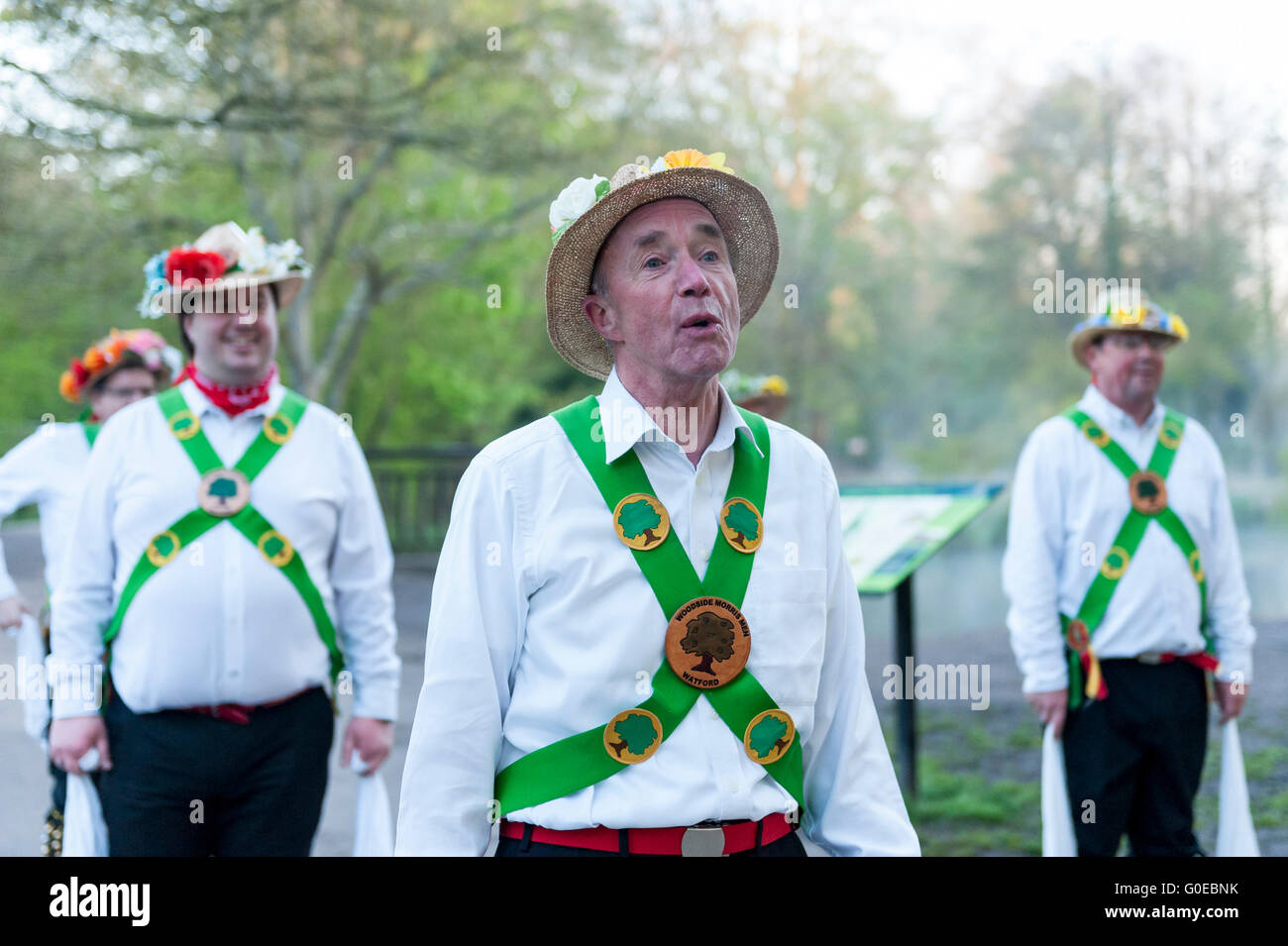 Watford, Regno Unito. 1 maggio 2016. Il Woodside Morris uomini eseguono un tradizionale Morris Dance in Cassiobury Park, Watford nel nord ovest di Londra, all alba per celebrare il giorno di maggio e la venuta di estate in rituali che risalgono a centinaia di anni. La tradizione vuole che il rituale di ballare in questo momento offre un caldo e fertile estate. Portando i bastoni e i fazzoletti da naso o da taschino di purificare l'aria e per il risveglio della terra, i ballerini sono accompagnati da musicisti che suonano strumenti tradizionali. Credito: Stephen Chung / Alamy Live News Foto Stock