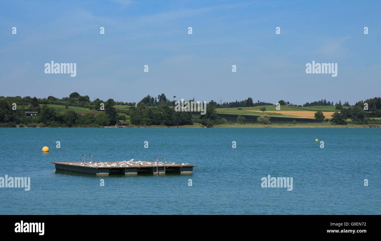 Piattaforma di nuoto sul lago di Pfaffikon Foto Stock