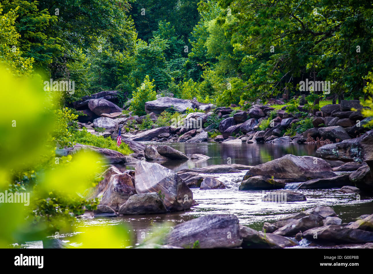 Ampio fiume che scorre attraverso la foresta boschiva Foto Stock