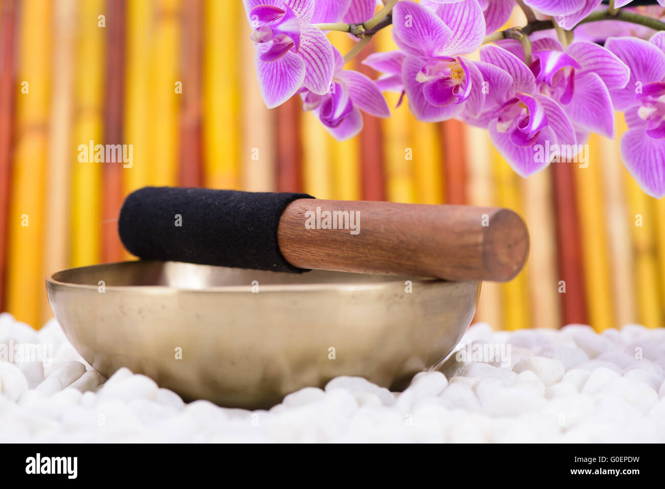 Singing Bowl nel giardino zen Foto Stock