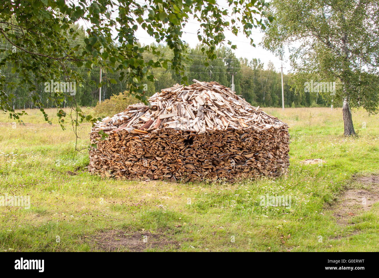 Catasta di legna da ardere in Forest Glade Foto Stock