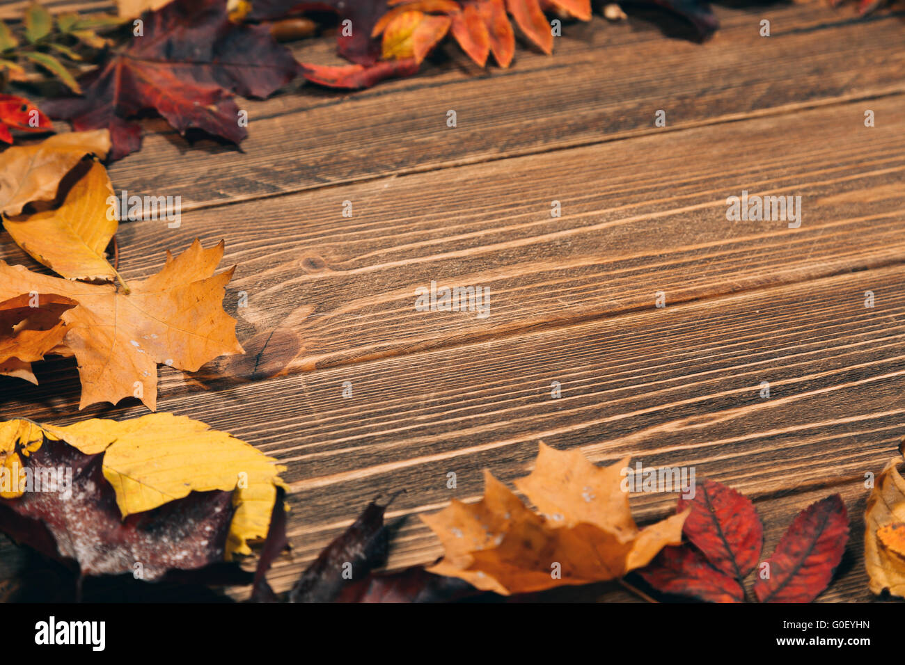 Sfondo con tavolo in legno e foglie autunnali Foto Stock