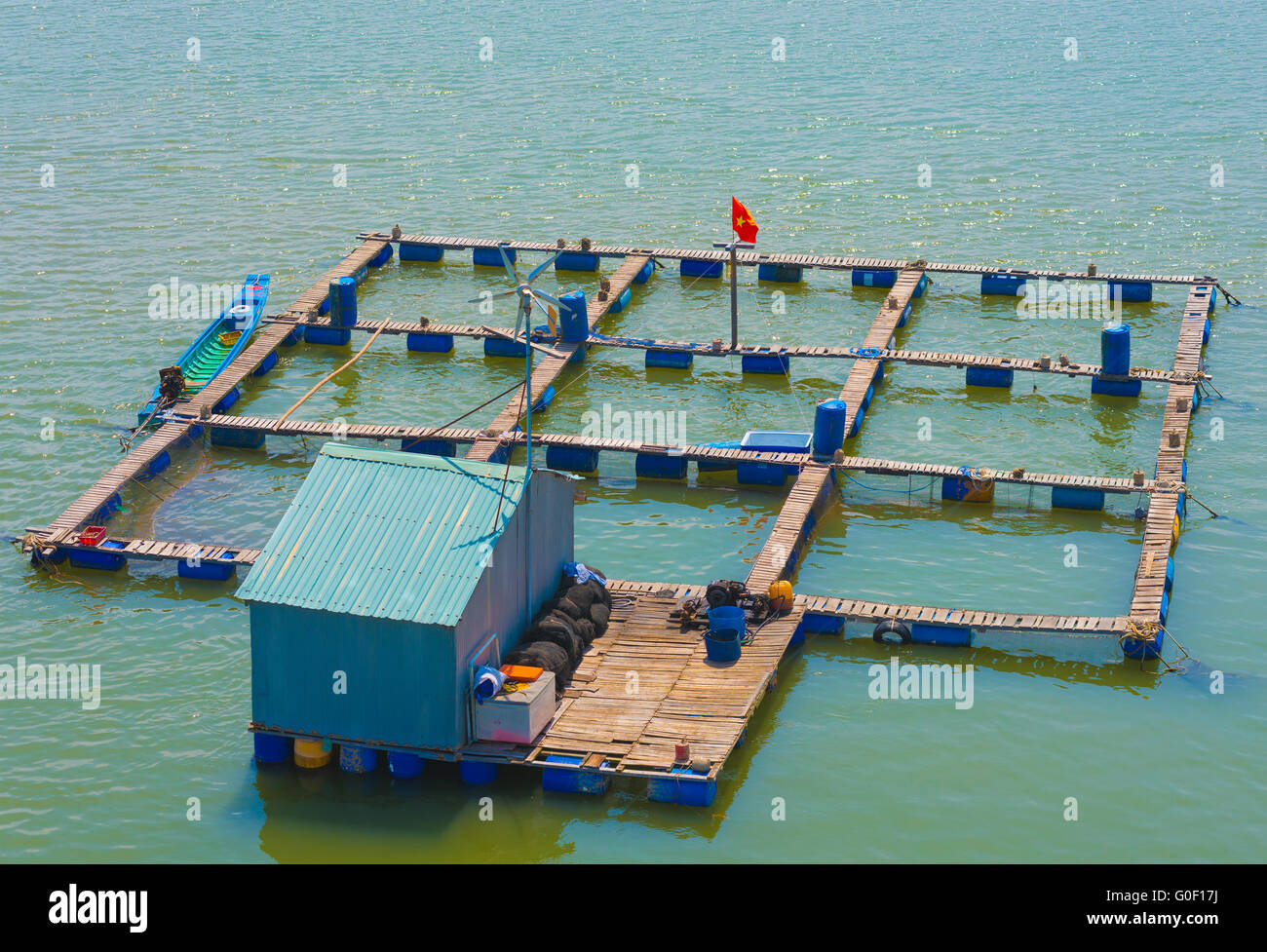 Allevamento di pesci fattoria nel sud del Vietnam Foto Stock