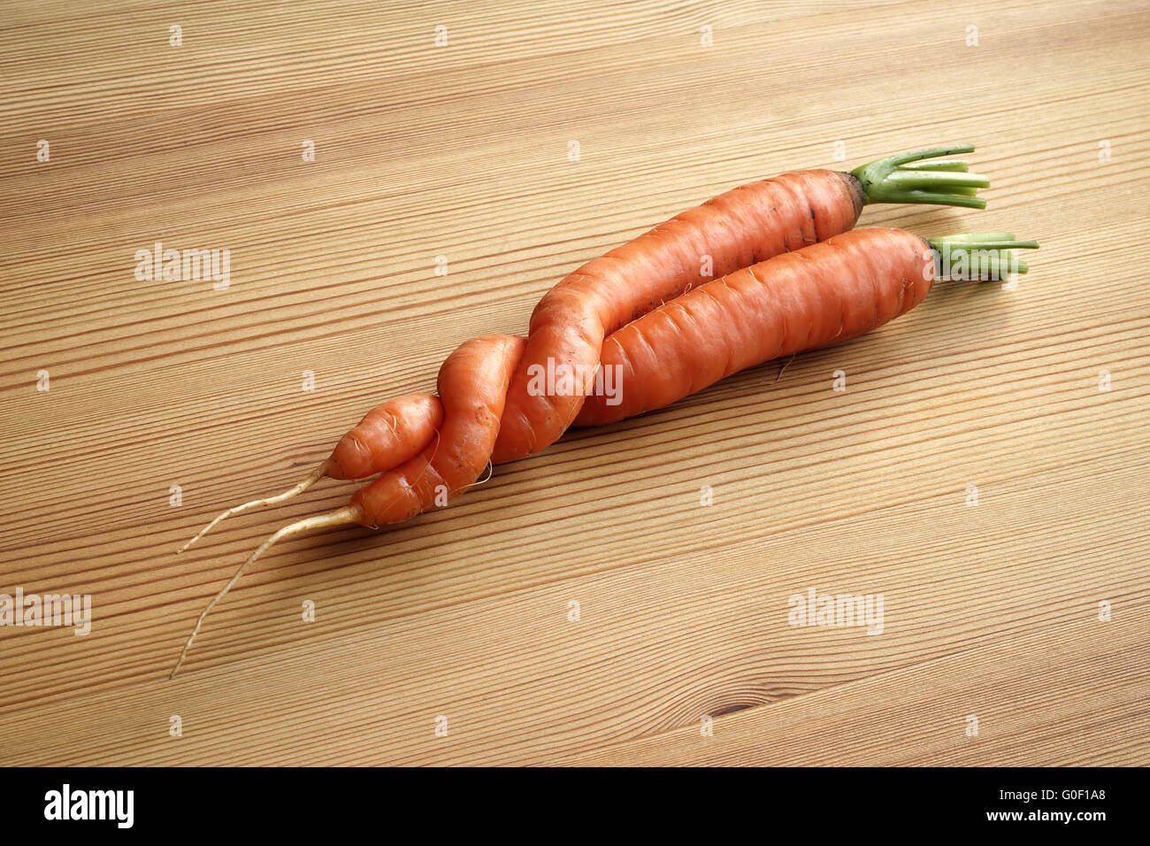 Due intrecciano le carote (uno scherzo della natura) Foto Stock