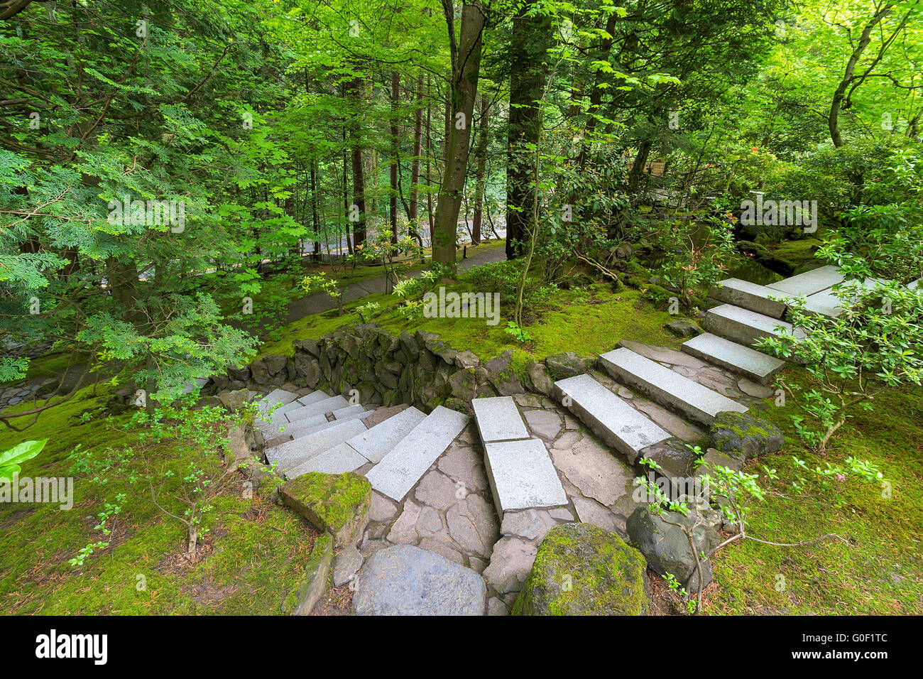 Pietra di granito stair passi al giardino giapponese in un lussureggiante paesaggio verde Foto Stock