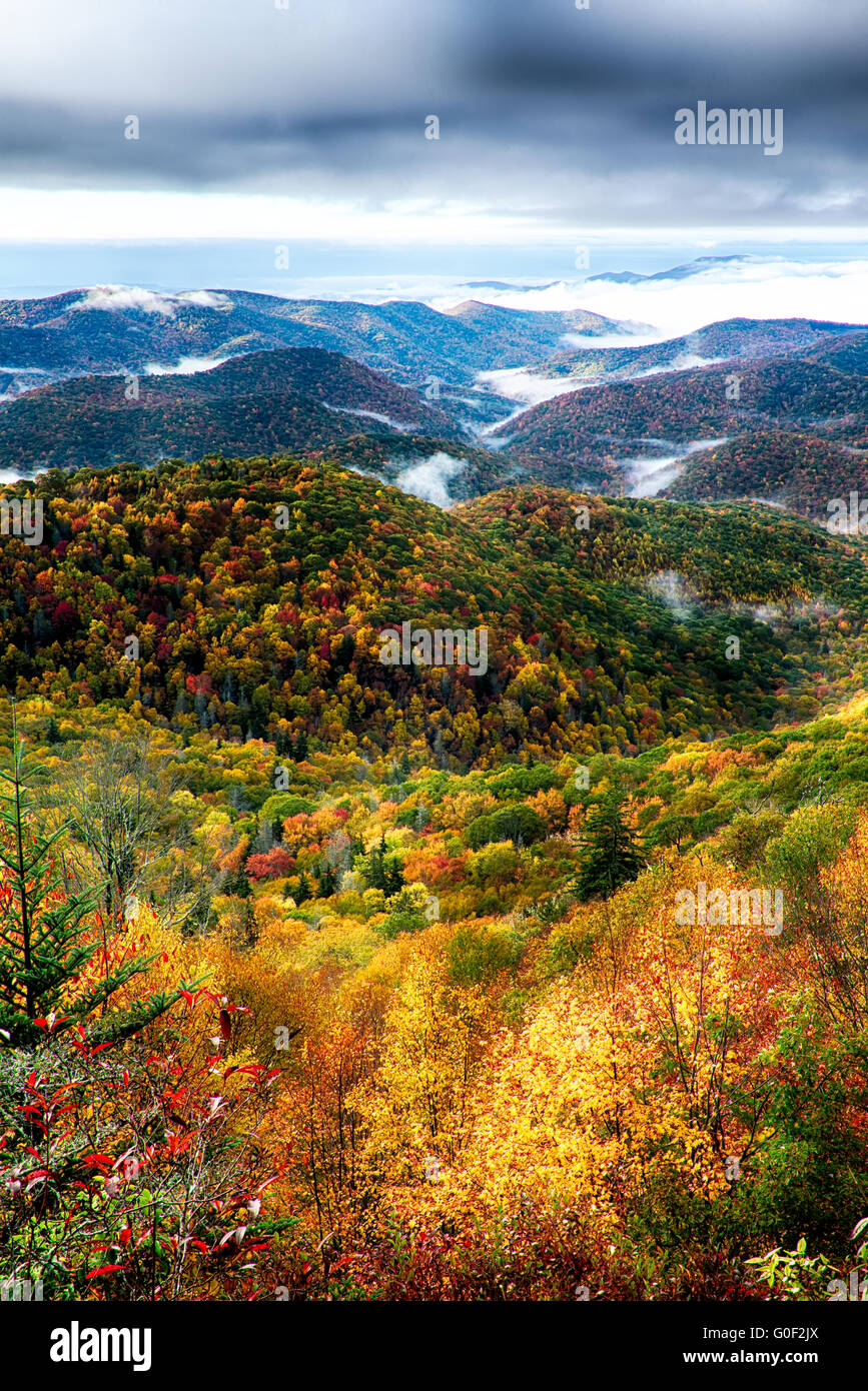 Fogliame di autunno su Blue Ridge Parkway vicino a maggie Valley North Carolina Foto Stock