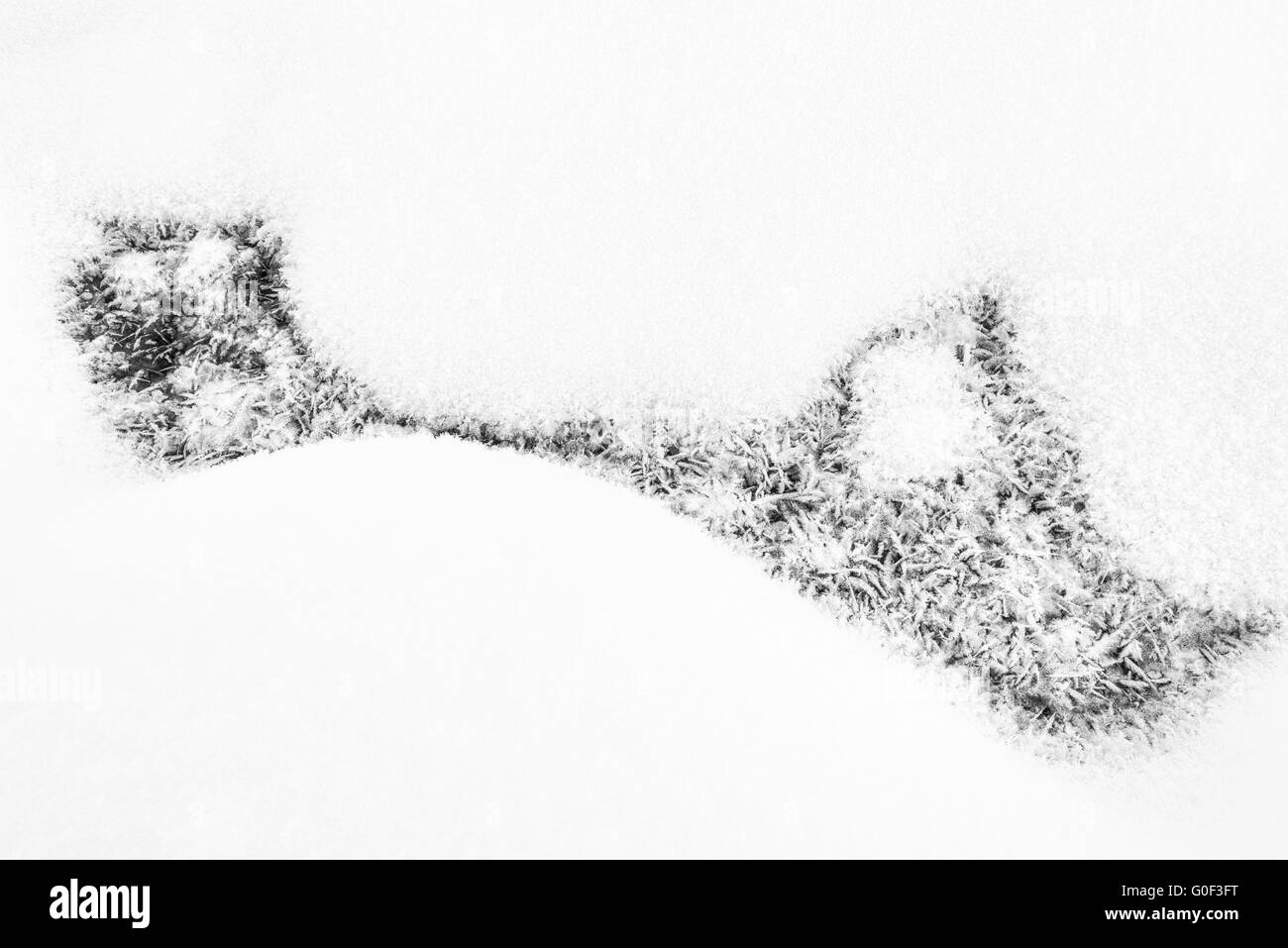 I cristalli di ghiaccio in snow, Lapponia, Svezia Foto Stock