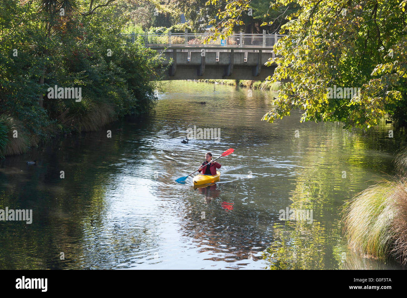 L'uomo kayak sul fiume Avon, Christchurch, Canterbury, Nuova Zelanda Foto  stock - Alamy