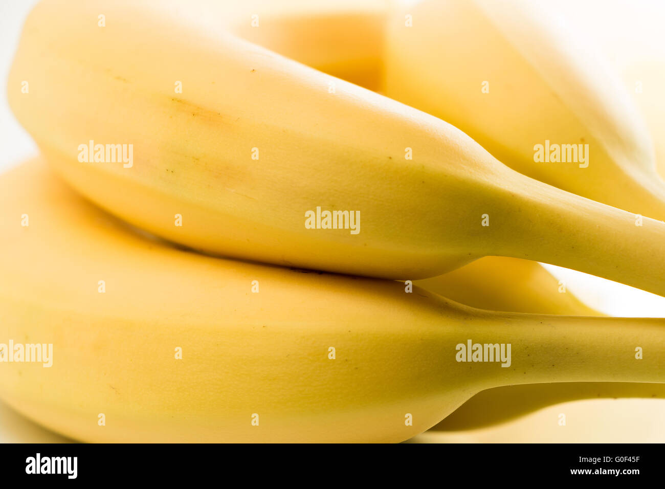 Banana (Cavendish) Foto Stock