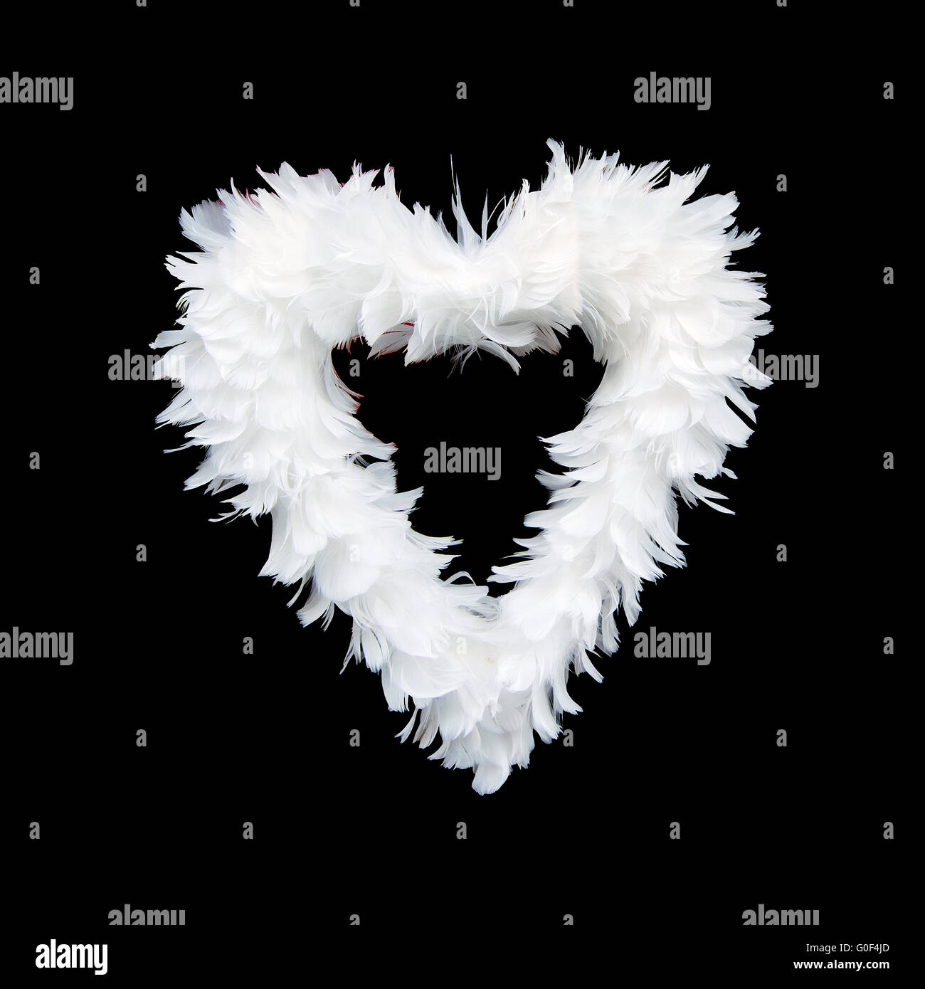 Cuore della piuma Foto Stock
