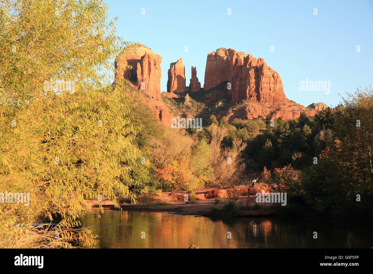 Colori Autmn presso Cathedral Rock e Oak Creek a Sedona, in Arizona, Stati Uniti d'America Foto Stock