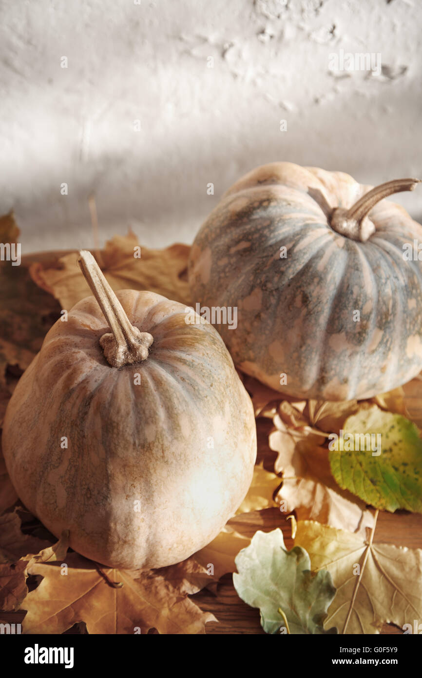 Autunno Foto Stock
