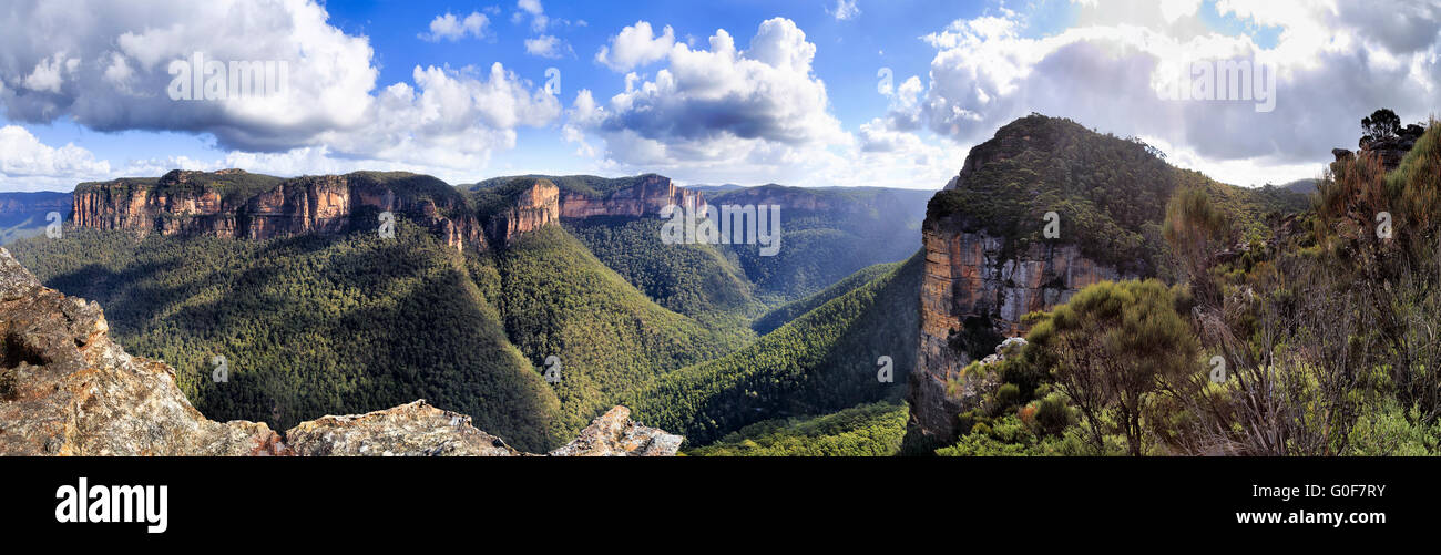 Panorama del Grand Canyon rocce e dirupi dalle pareti belvedere nelle Blue Mountains, Australia. Evergreen verde valle coperta Foto Stock