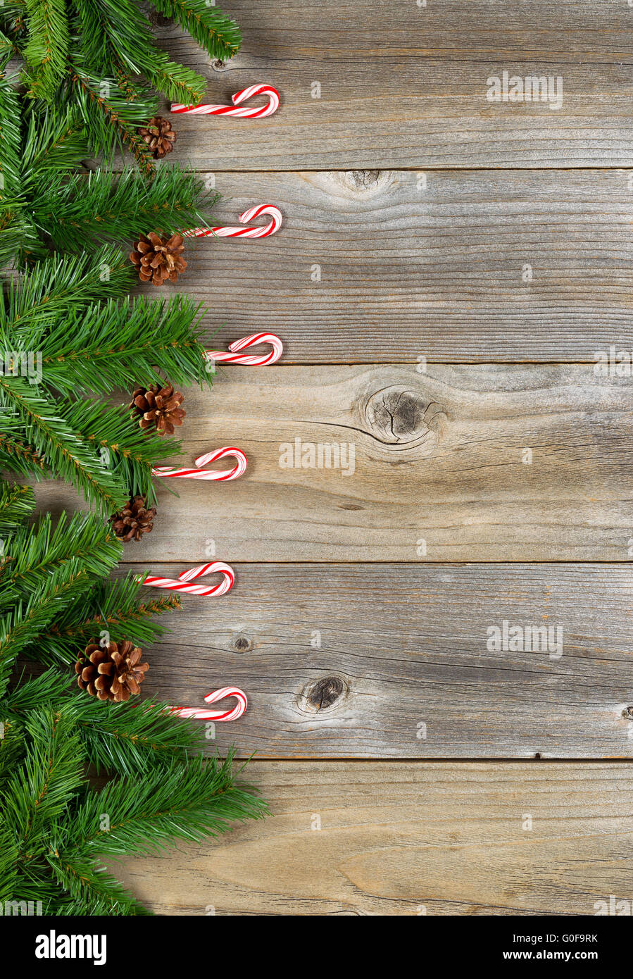 Bordo di Natale con rami di sempreverdi e candy canes su rustiche tavole in legno Foto Stock