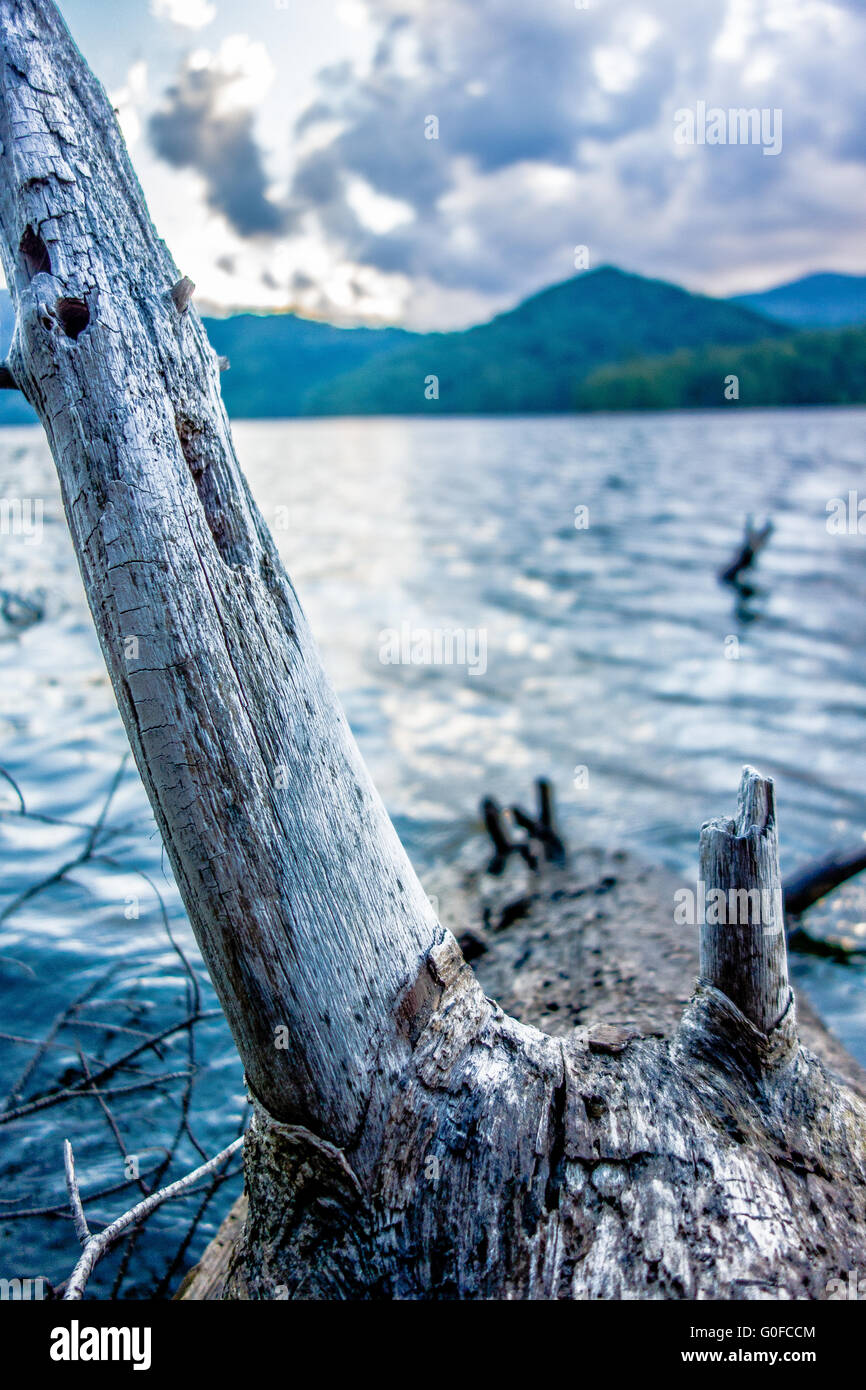 Paesaggi della natura attorno al lago santeetlah carolina del Nord Foto Stock