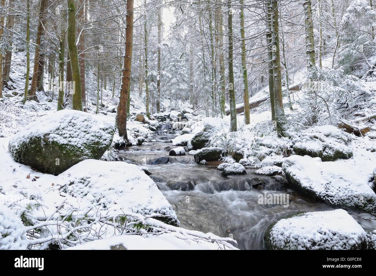 In Gertelbach invernale in Bühlertal Foresta Nera in Germania Foto Stock