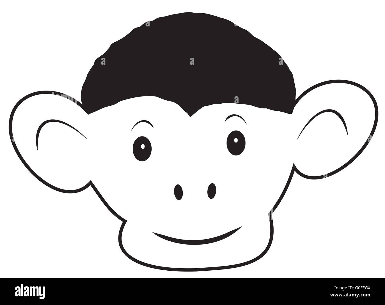 La testa della scimmia Foto Stock
