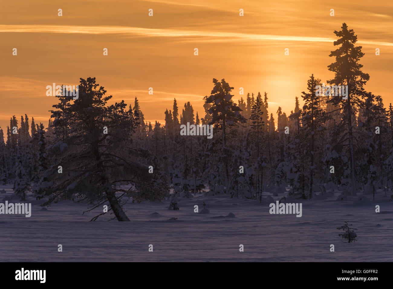 Paesaggio wintery nel crepuscolo, Lapponia, Svezia Foto Stock