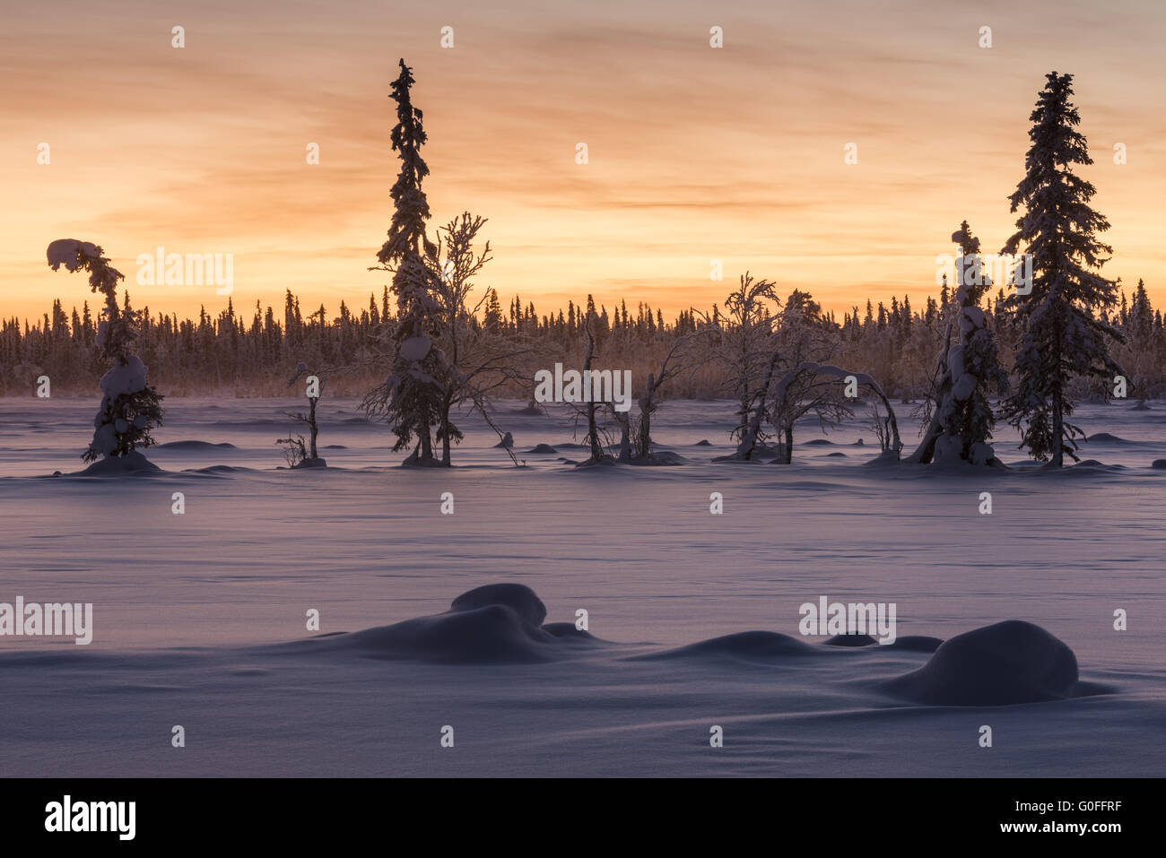 Paesaggio wintery nel crepuscolo, Lapponia, Svezia Foto Stock