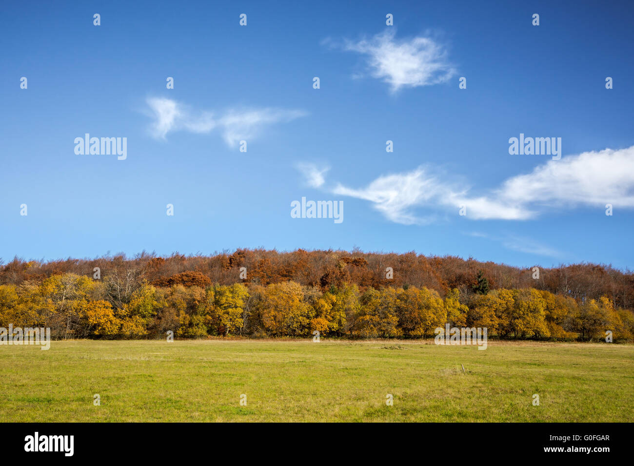 Paesaggio autunnale Foto Stock