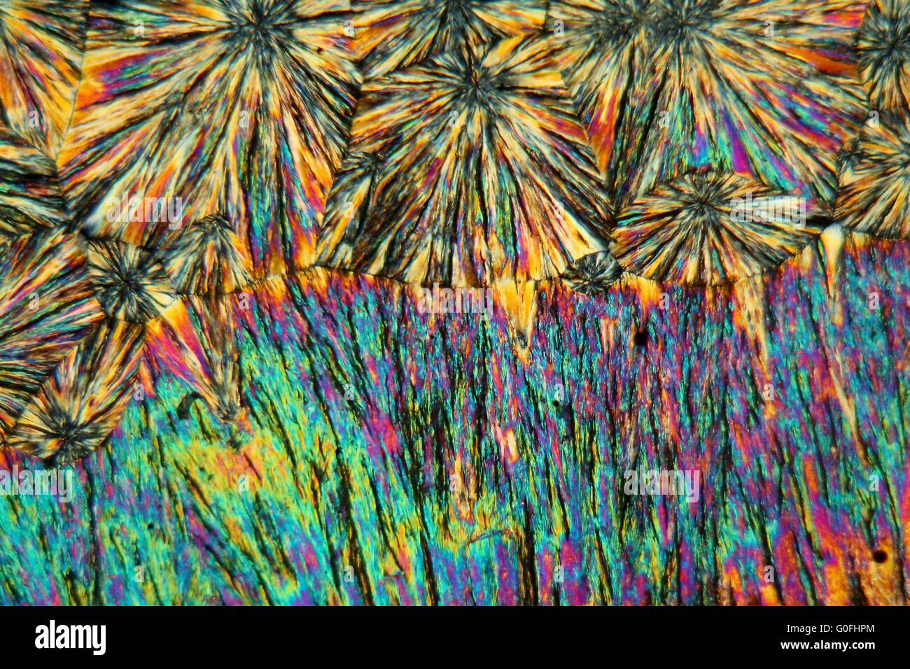 Cristalli di metamizolo sotto il microscopio. Foto Stock
