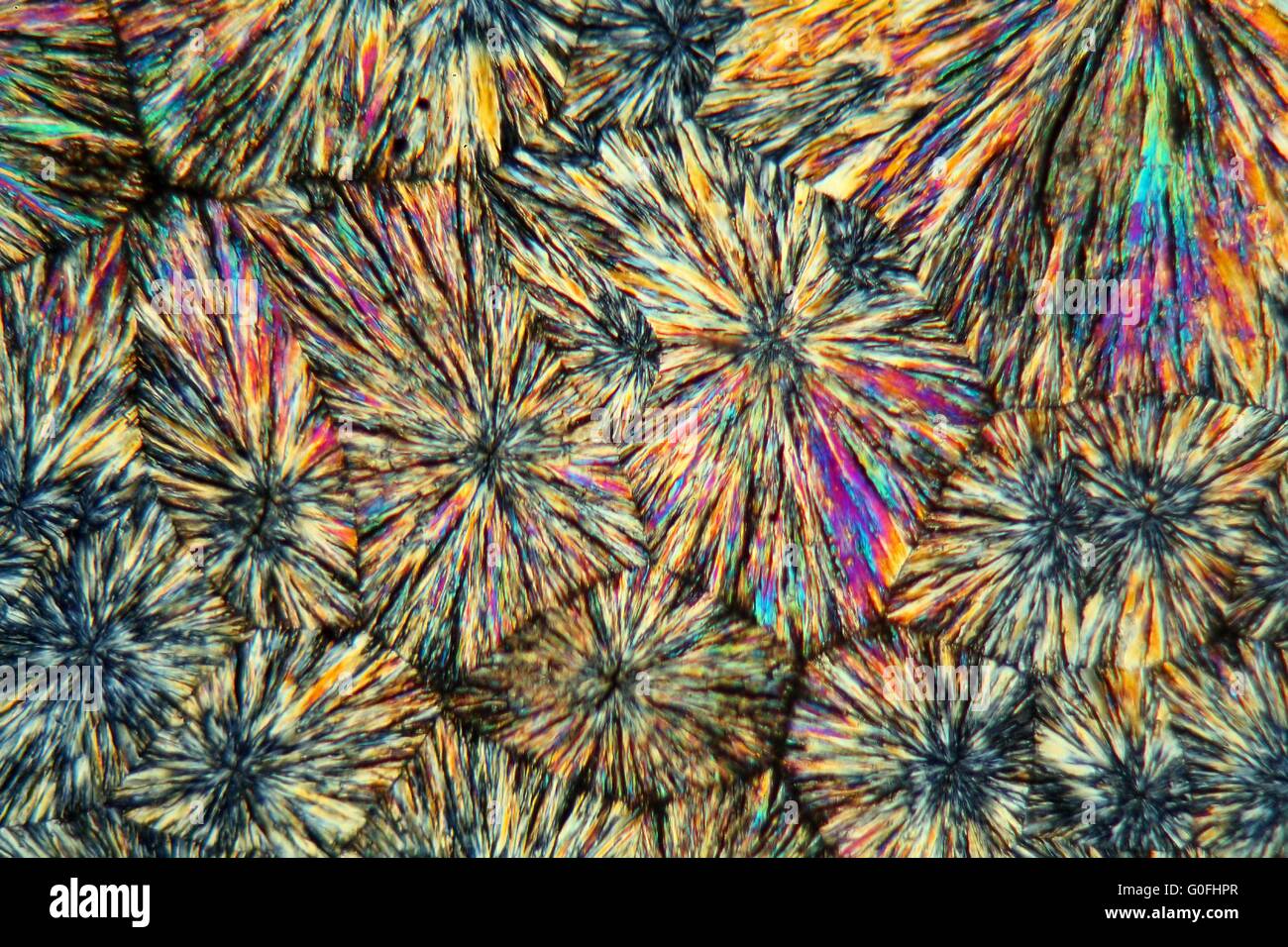 Cristalli di metamizolo sotto il microscopio. Foto Stock
